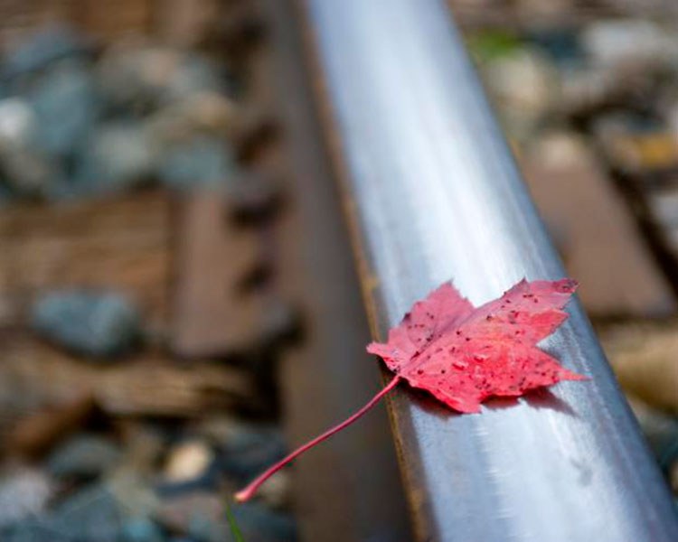 Feuille d'érable rouge sur une voie ferrée (Photo : Destination Ontario)