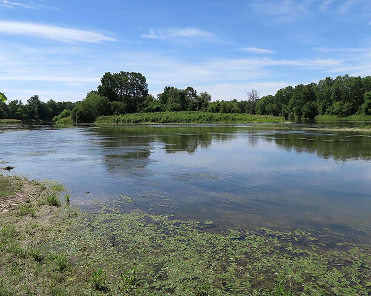 The Grand River runs through the Ruthven Estate, Cayuga