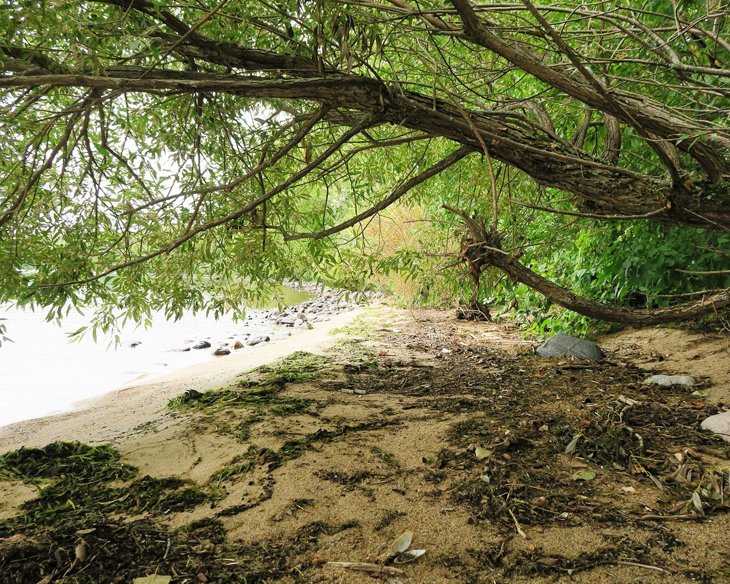 Great Manitou Island, near North Bay