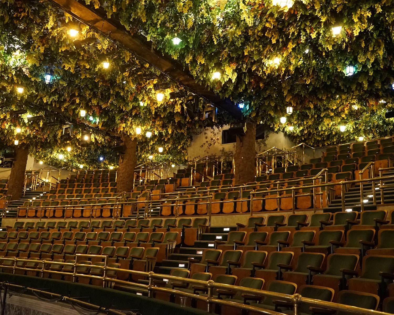 The restored ceiling of the Winter Garden Theatre (Photo: Mark Wolfson)
