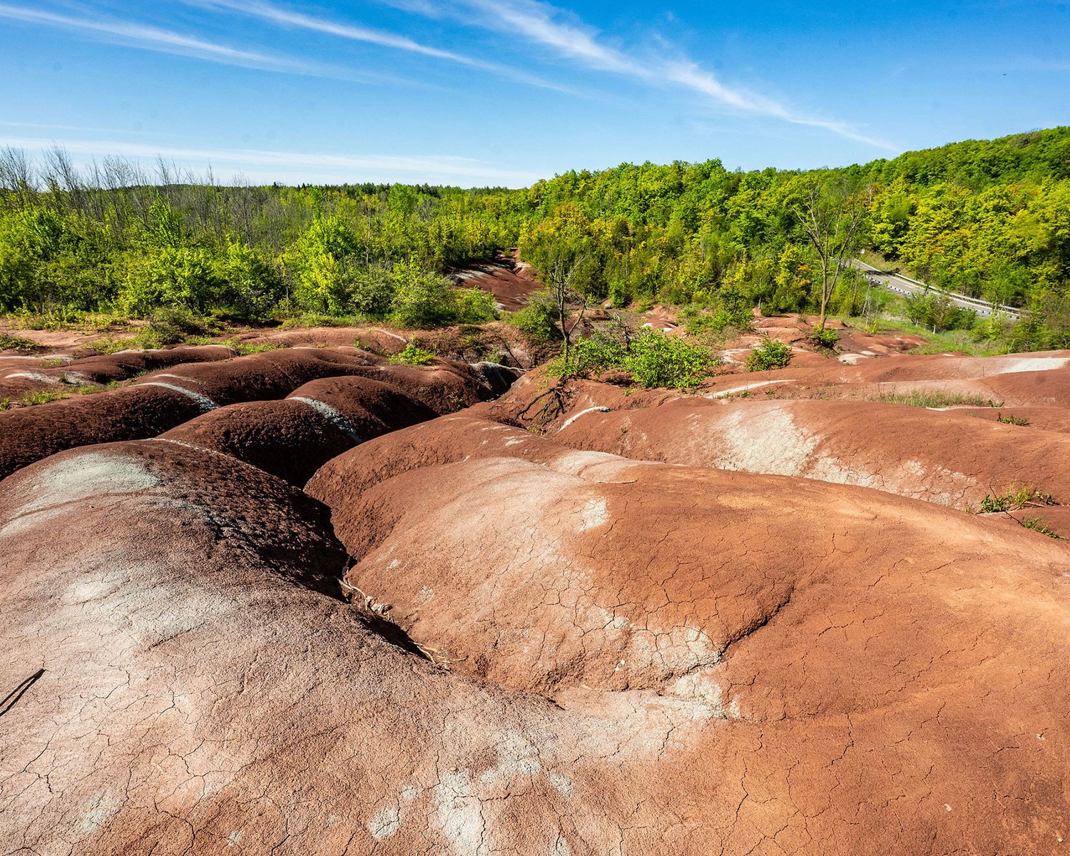 Cheltenham Badlands (Photo: Dahlia Katz)