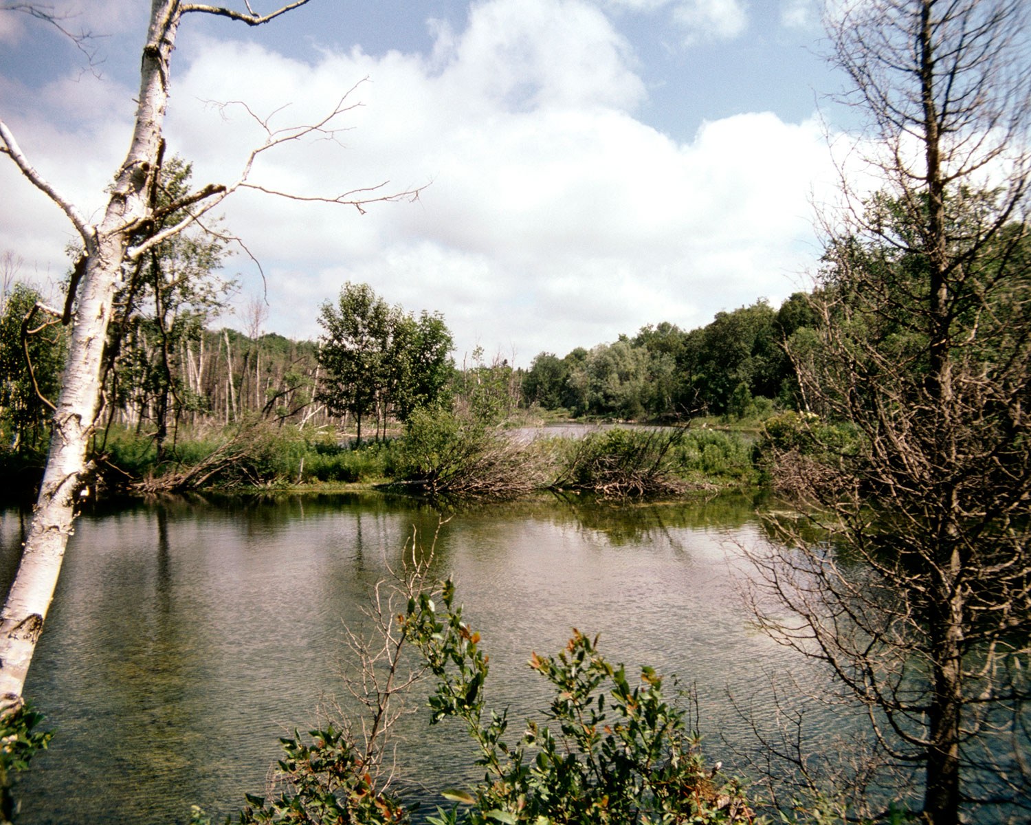 Propriété Yaremko-Ridley, près de Milton