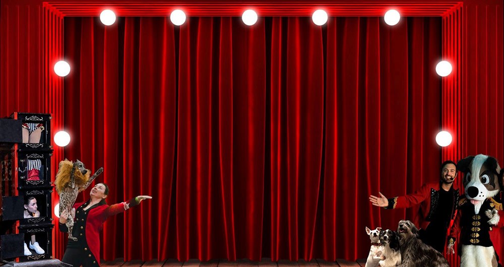 Dogs Do Magic (starring Aaron Matthews)