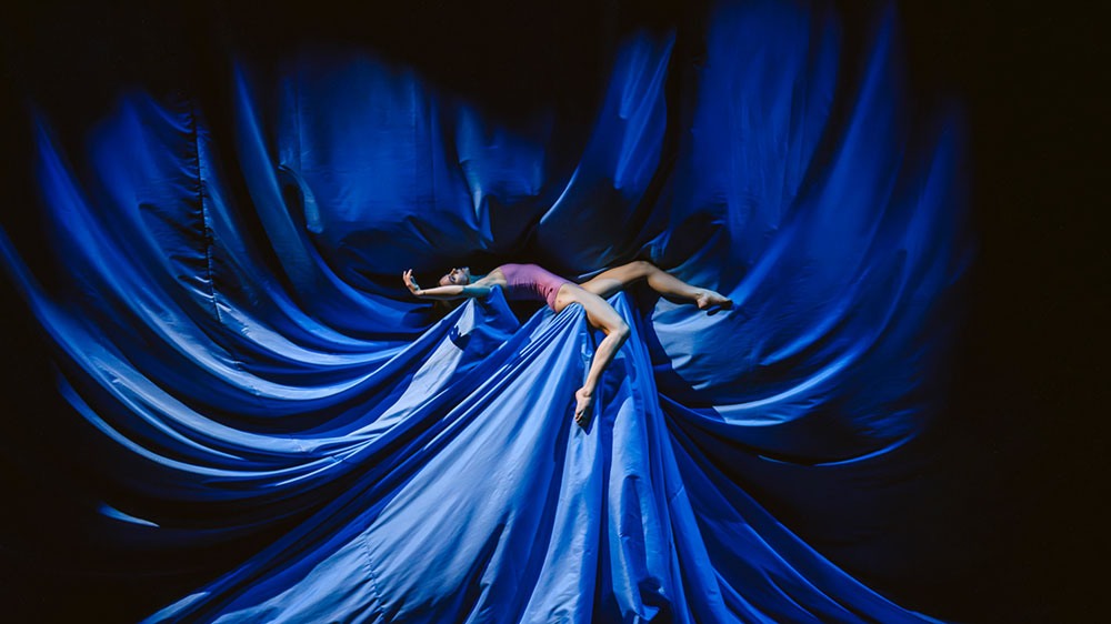 The Tragedy of Hamlet: the Prince of Denmark