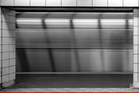 Moving on: Ryerson University Students Explore Urban Transport around the Greater Toronto Area (Photo: Imogen Wallis-Mayer)