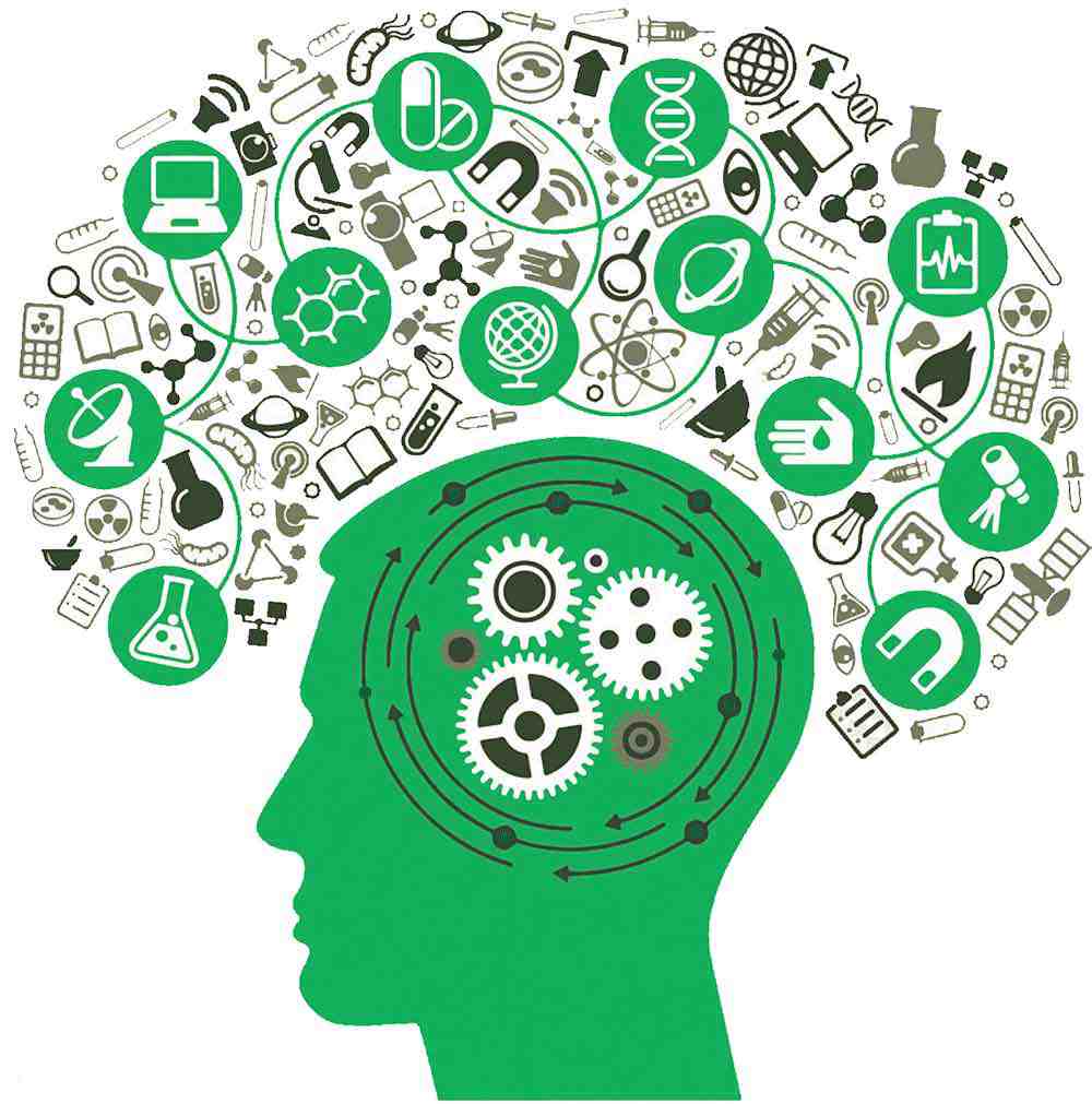 Illustration of a brain