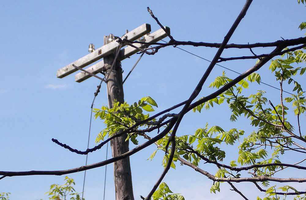 Rotary Trail Telegraph Poles