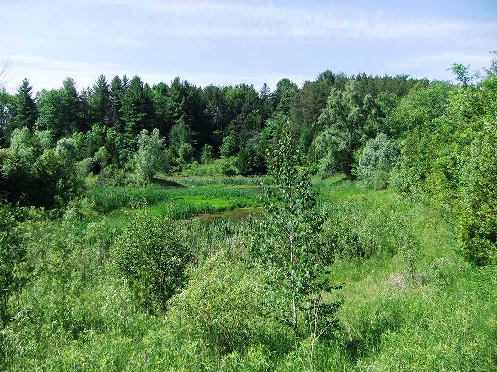 Cawthra Mulock Nature Reserve