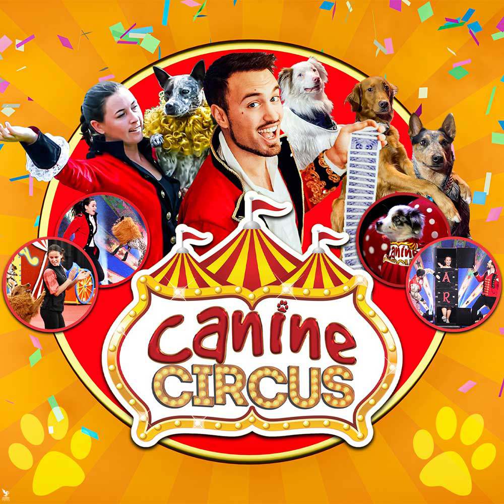 The Canine Circus